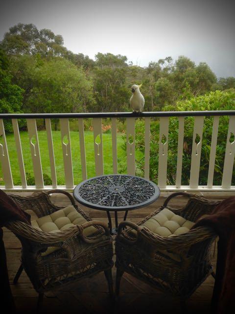 Villa Moments Mountain Retreat Wentworth Falls Exterior foto